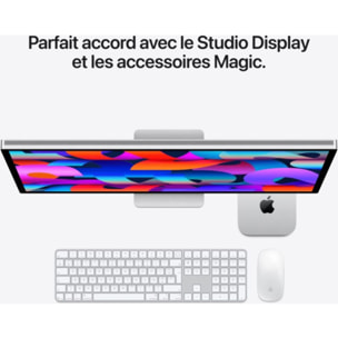 Ordinateur Apple MAC Mini Puce M5 Pro CPU 15 / GPU 16 coeurs / Mémoire RAM 24Go Stockage 512Go SSD Argent