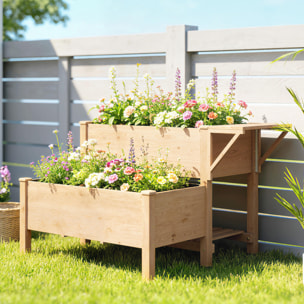 Carré potager bois en escalier sur pieds 2 niv. 2 étagères