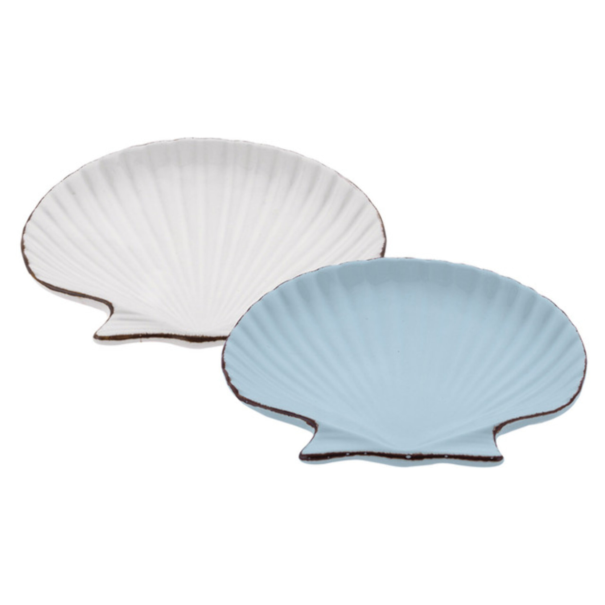 Set 2 conchiglie Indaco
