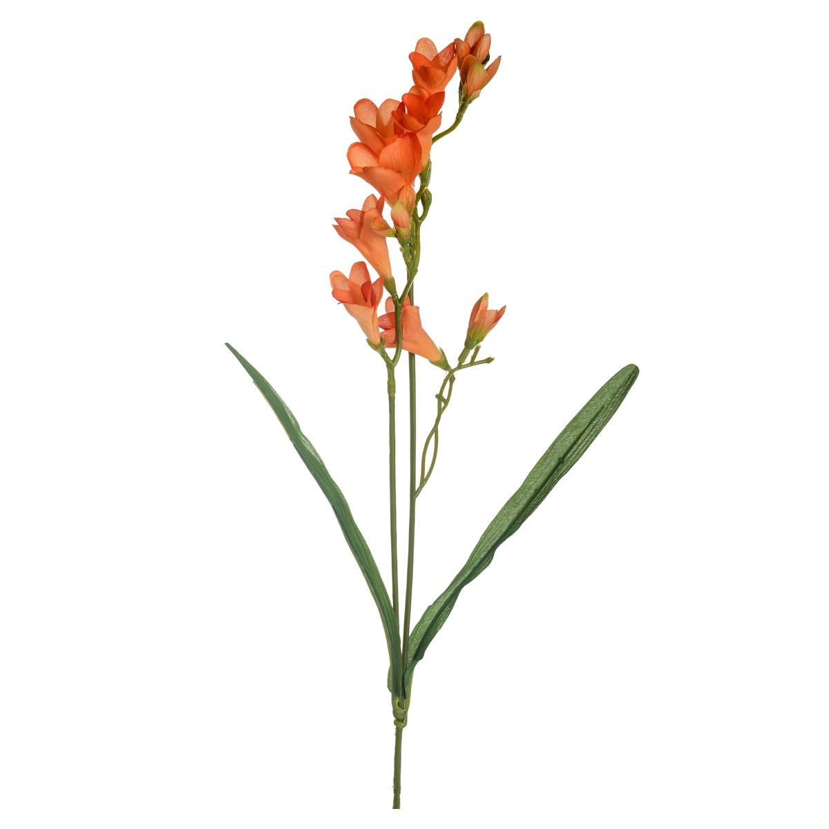 Fresia Composta Da 2 Fiori. Altezza 58 Cm - Pezzi 12 - 10X69X3cm - Colore: Arancio - Bianchi Dino - Fiori Artificiali