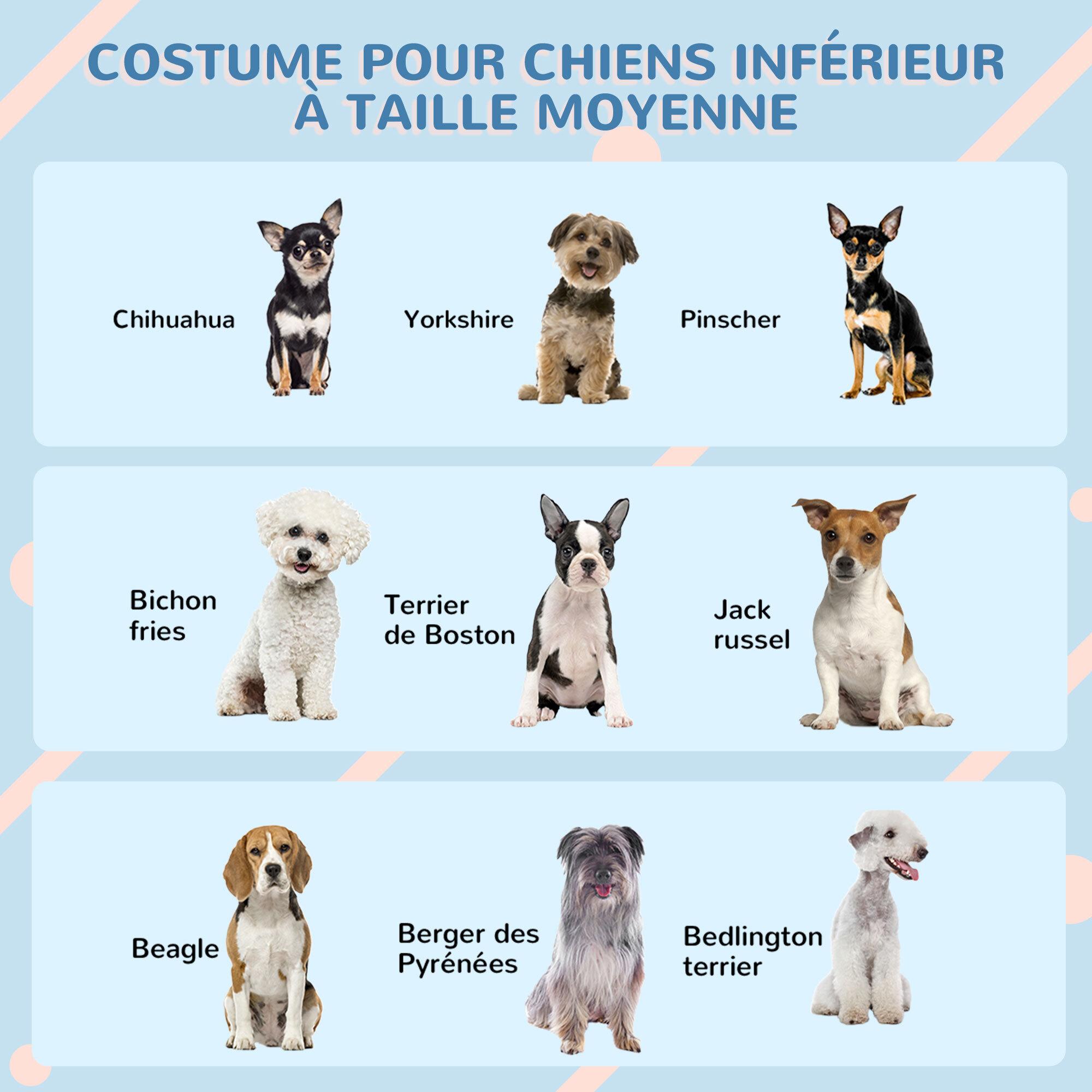 Niche pour chien design maisonnette - dim. 65L x 75l x 63H cm - PP bleu blanc