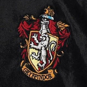 DISFRAZ HARRY POTTER DELUXE INF