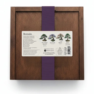 Kit de Cultivo de Bonsáis en Caja de Madera – Regalo Original Planeta Huerto