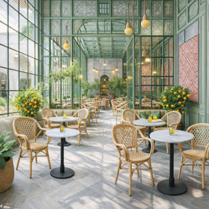 Lot de 2 fauteuils de table en rotin synthétique CAPRI