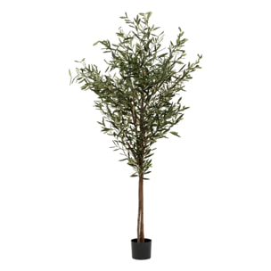 Olivier artificiel "Martin" pot en céramique H210cm