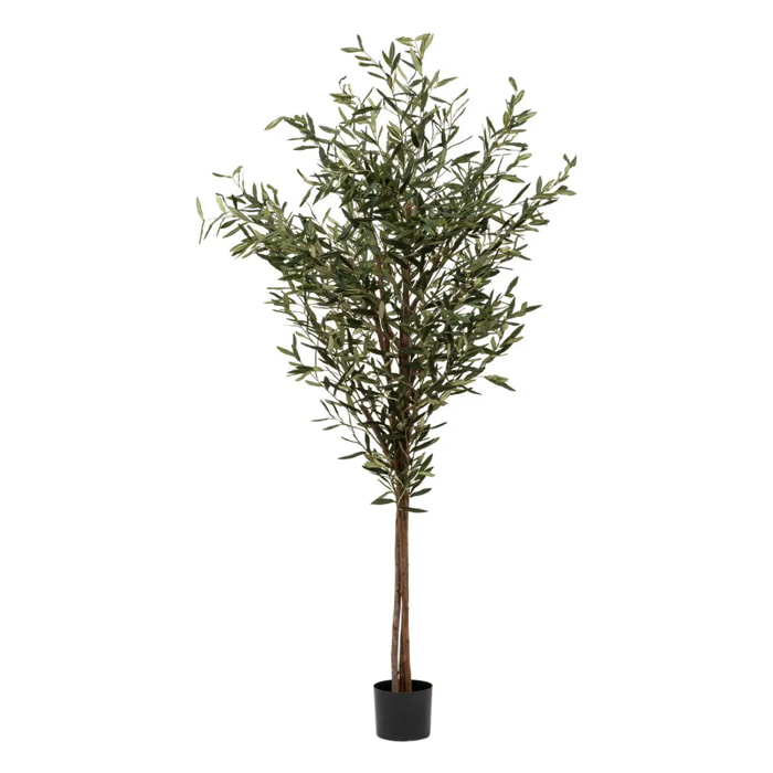 Olivier artificiel "Martin" pot en céramique H210cm