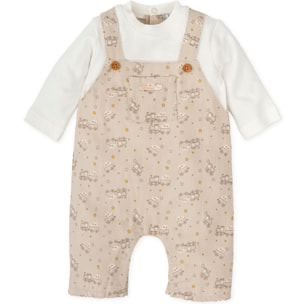 PELELE ARENA - Arena