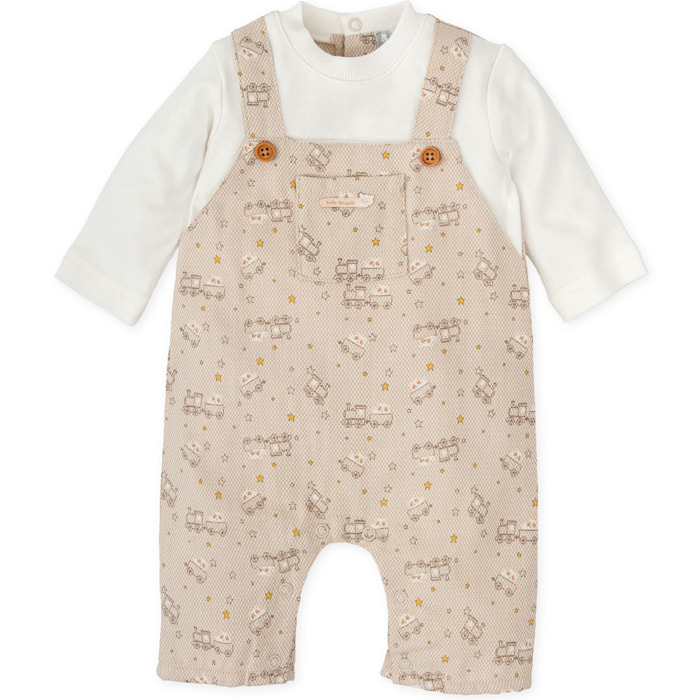 PELELE ARENA - Arena