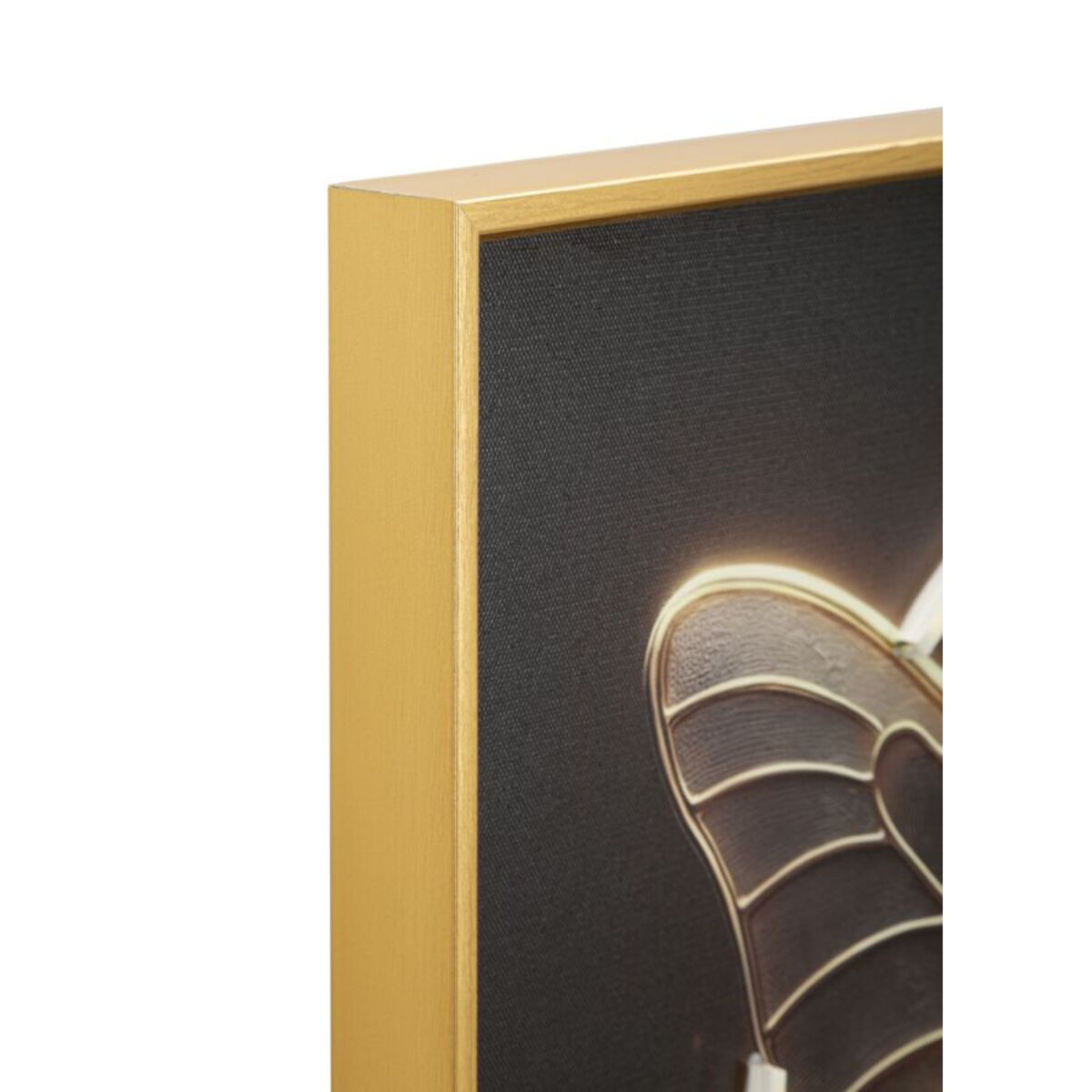 STAMPA C/LED SU TELA LACCATA C/CORNICE BUTTERFLY CM 50X4
X50