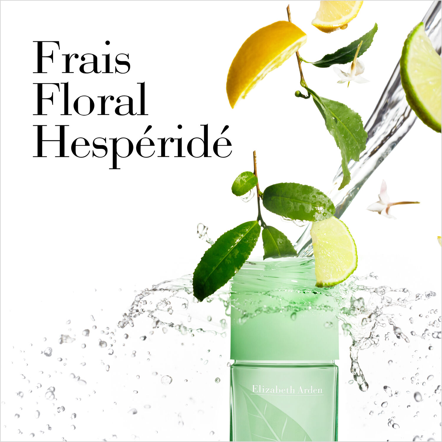 Green Tea  - Eau Parfumée