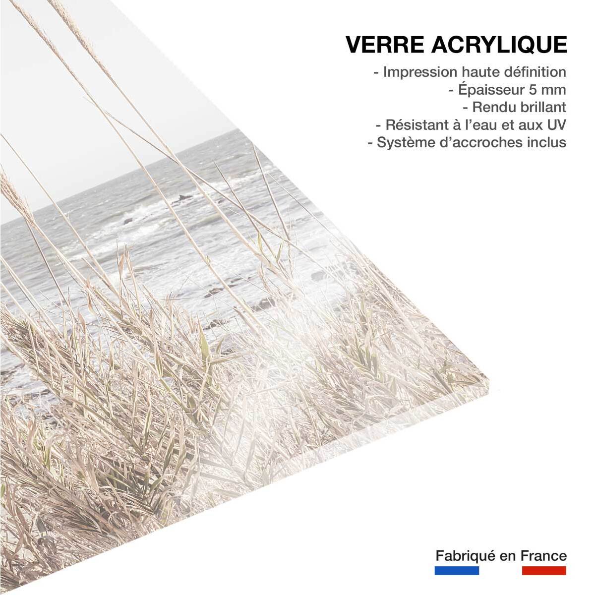 Tableau épis au bord de l'eau Tableau plexiglas