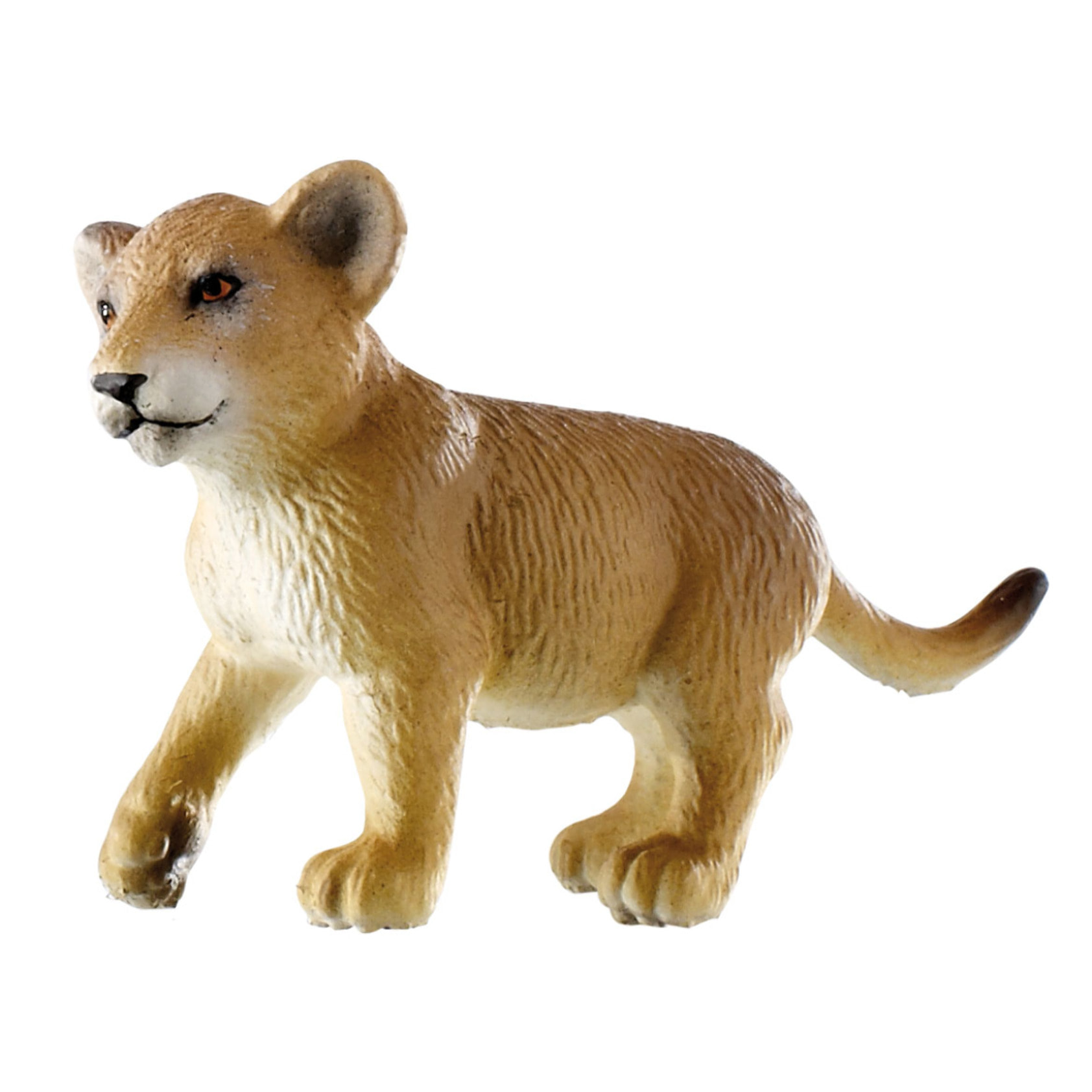 Safari/Cucciolo di Leone