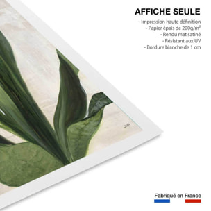 Poster Sanseveria aquarelle Affiche seule