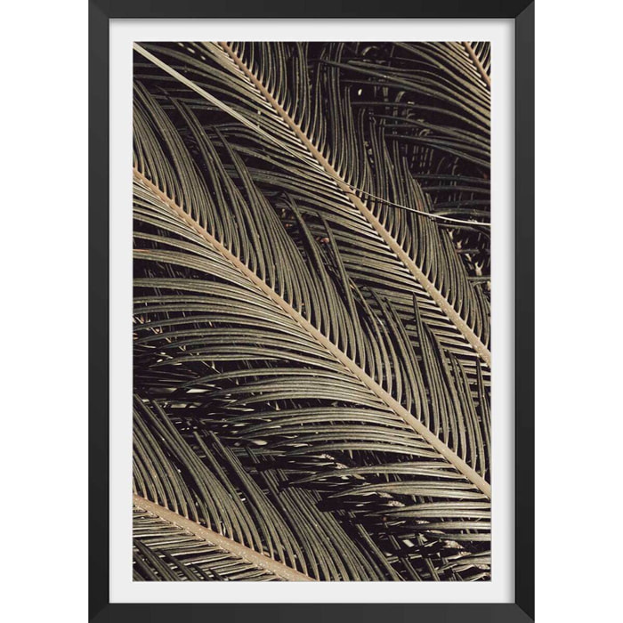 Poster palm island Affiche + cadre en bois - Noir