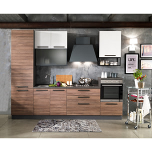 Tapis de couloir Tomasucci ELEGANT BROWN 14, en polypropylène, marron, 80 × 150 cm