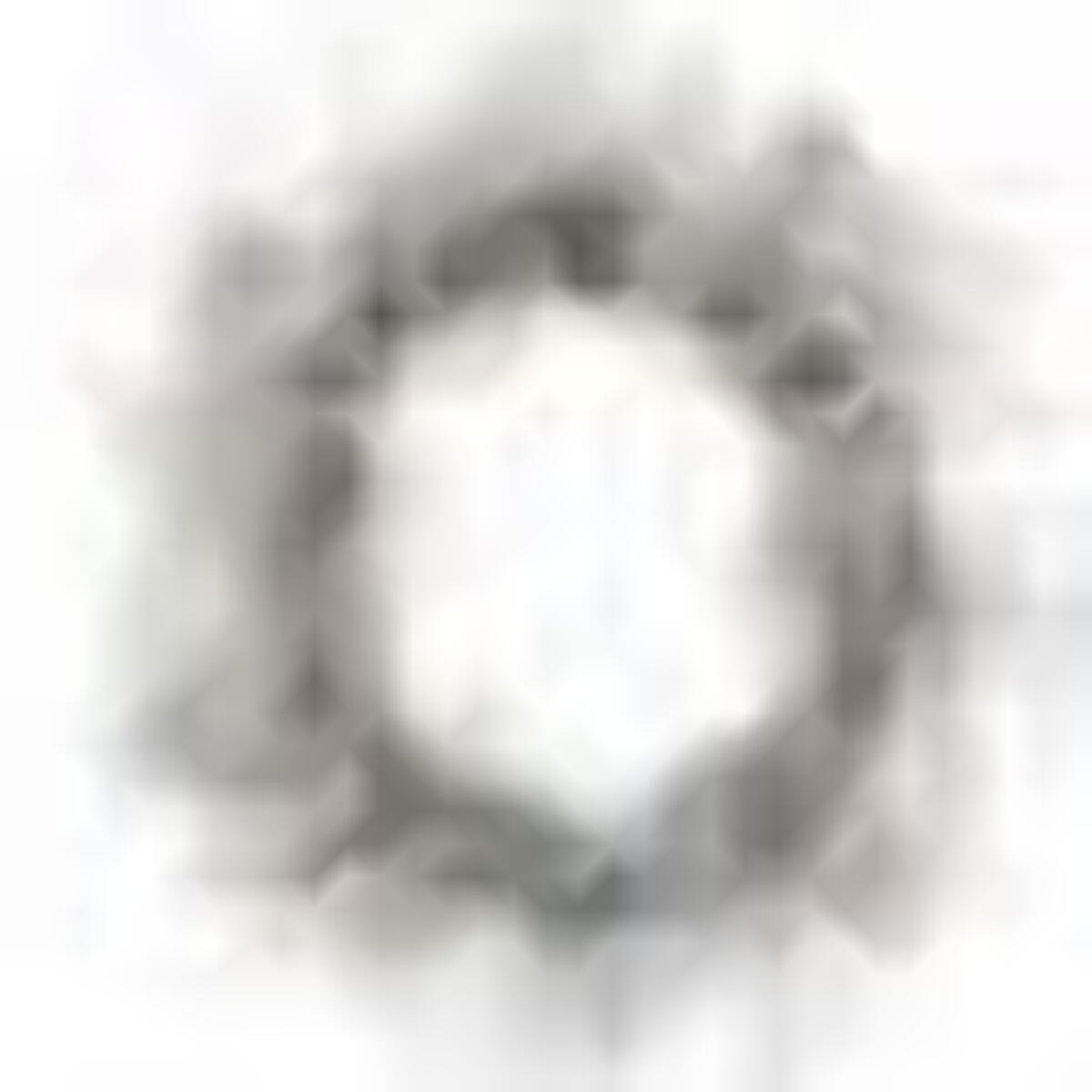 Ghirlanda in plastica pino innevata con pigne cm60x60h13