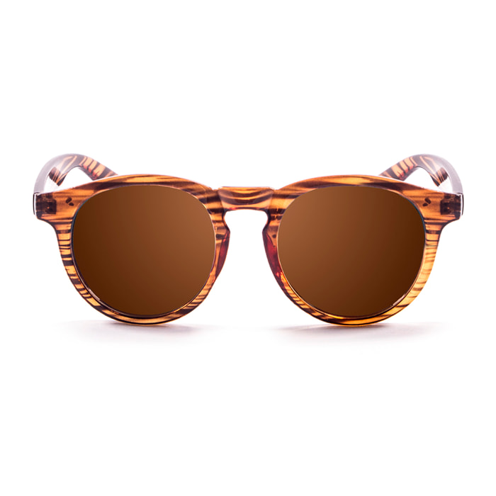 Gafas de sol PALO ALTO NEWPORT - Marrón brillante / Marrón