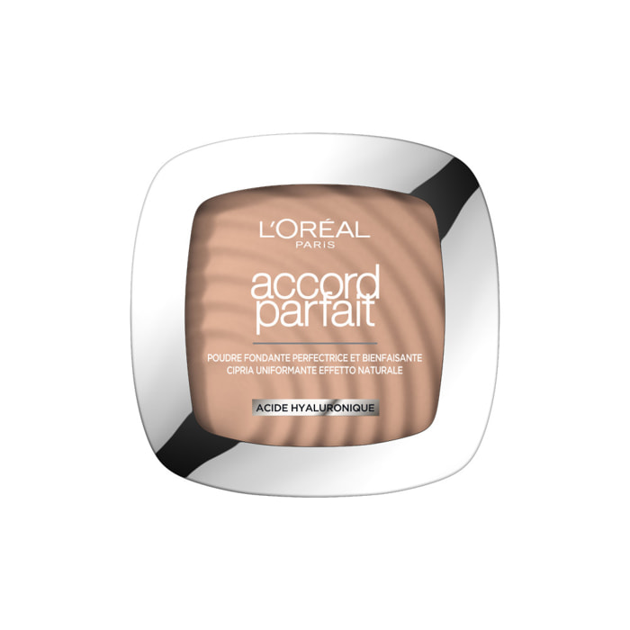 L'Oréal Paris Poudre Accord Parfait 5R Sable Rose 9g