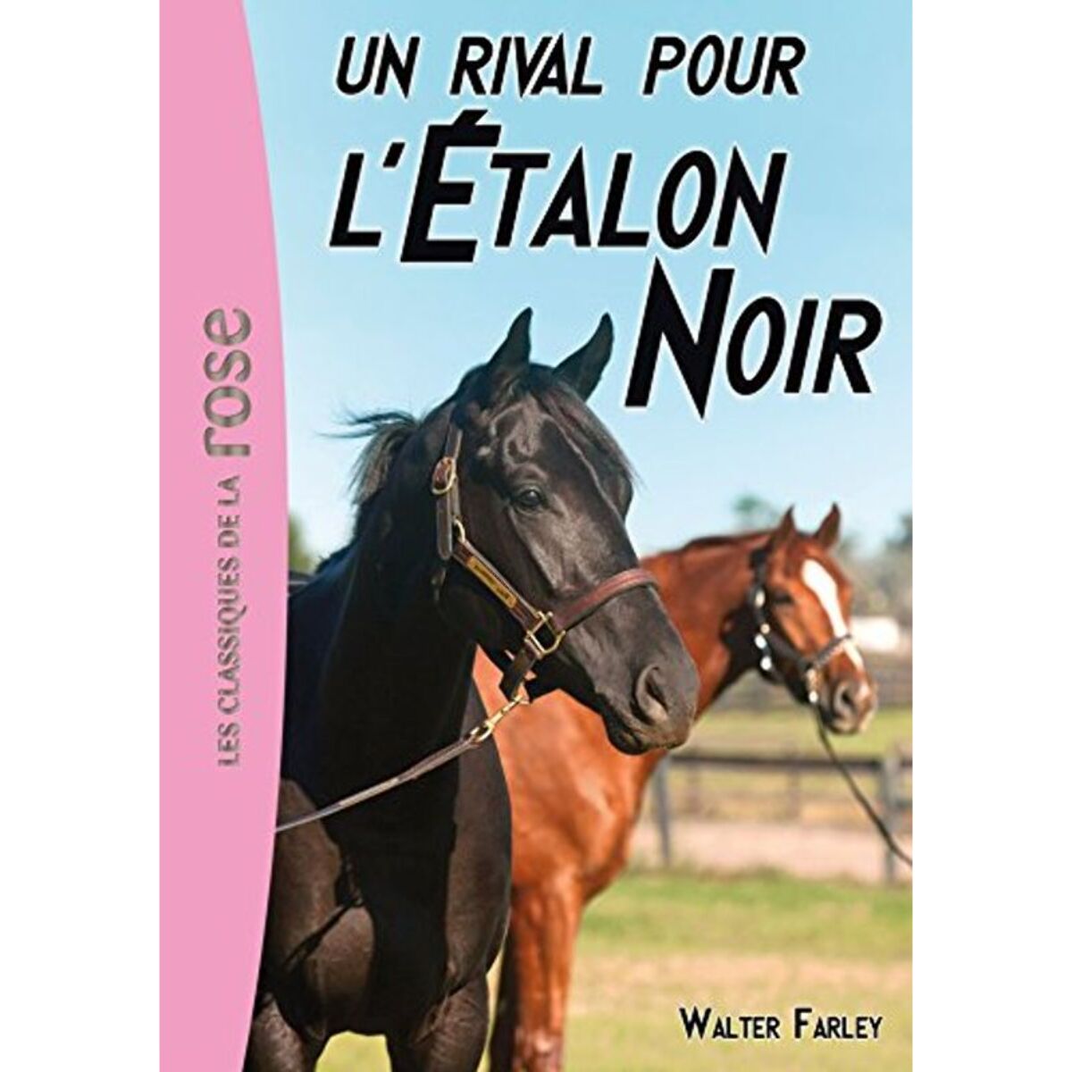 Farley, Walter | L'Étalon Noir 14 - un rival pour l'Etalon Noir | Livre d'occasion
