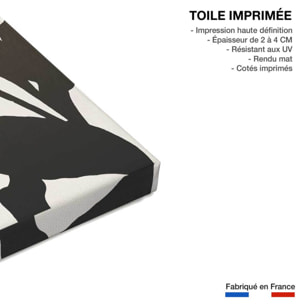 Tableau graphique Tropique paradis Toile imprimée