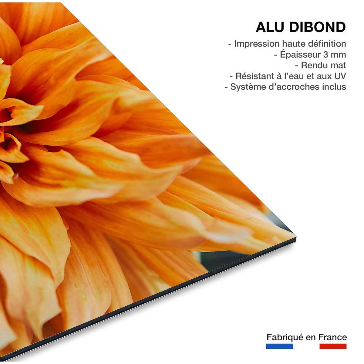 Tableau Tableau fleurs coeur de chrysanthème Tableau alu Dibond