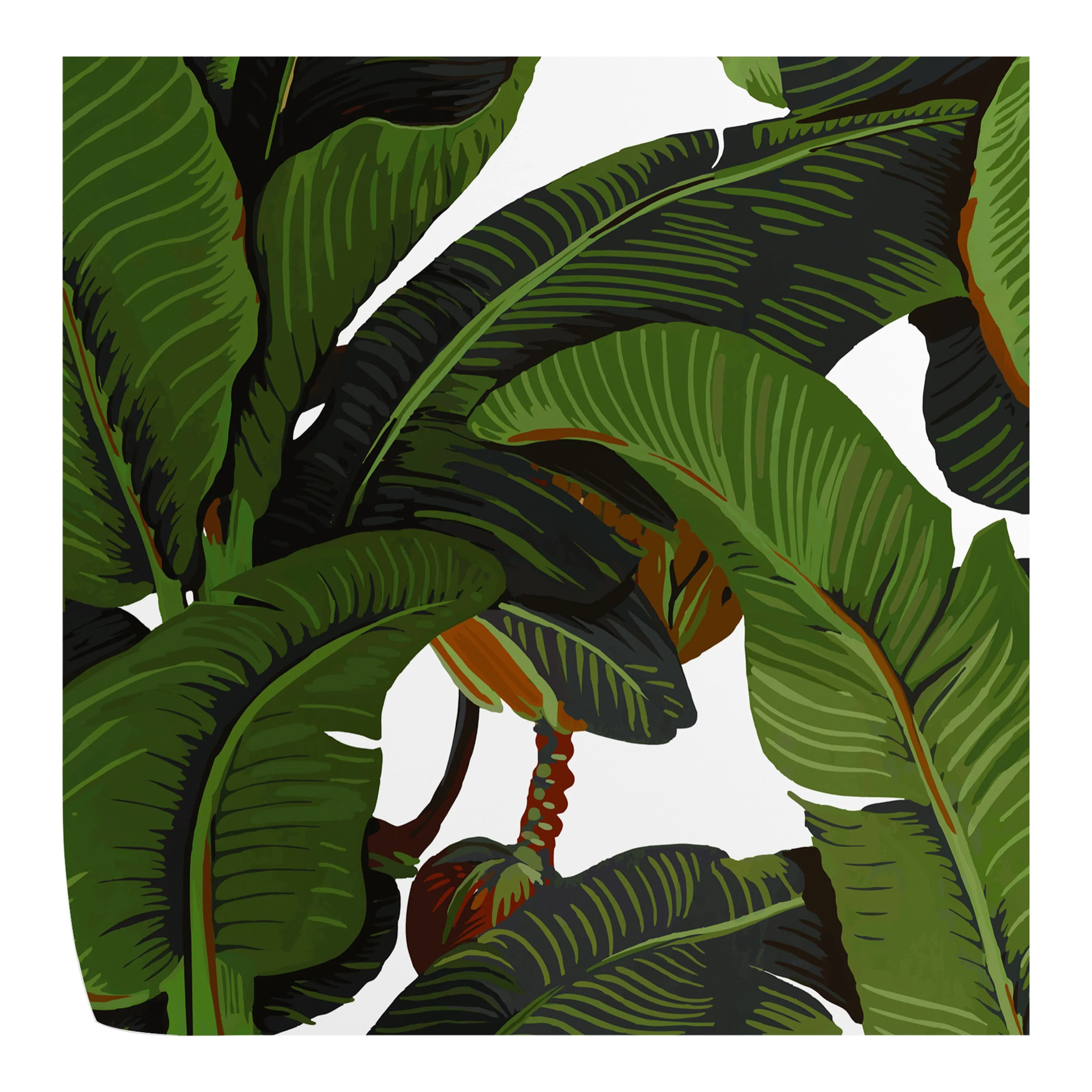 Carta da Parati Foglie di Banano