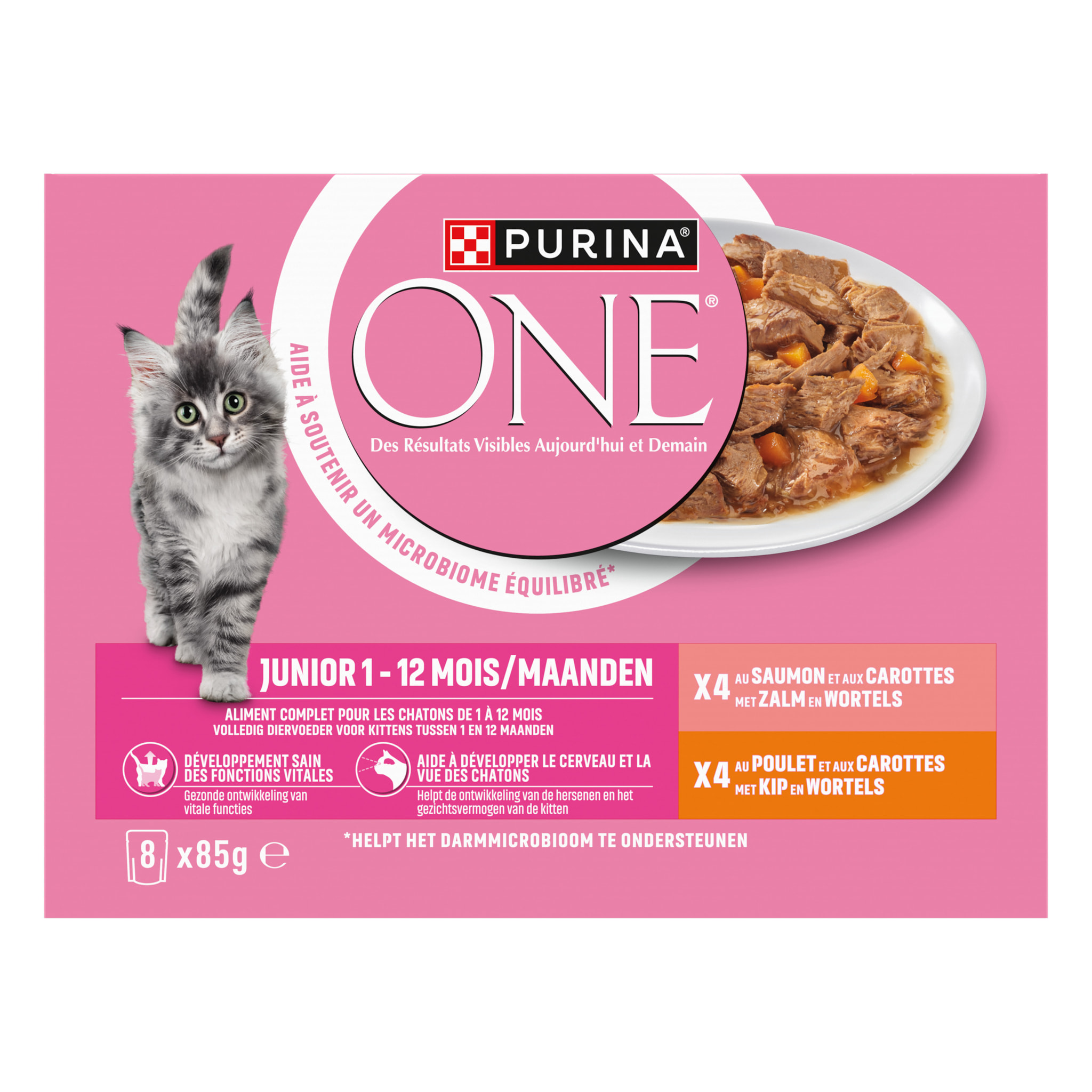 PURINA ONE Chat Kitten Effilés Sauce Saumon Poulet 8x85g - Lot de 10