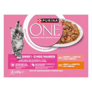 PURINA ONE Chat Kitten Effilés Sauce Saumon Poulet 8x85g - Lot de 10