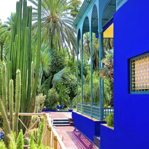 Tableau jardin majorelle Tableau plexiglas