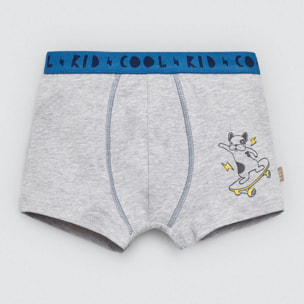 Confezione da 2 boxer in cotone per bambini con stampa di un fulmine e un cane