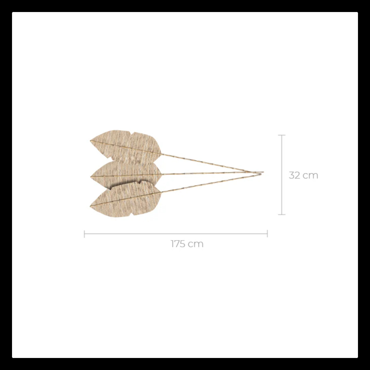 Lot de 3 palmes en jacinthe d'eau et bambou - Major