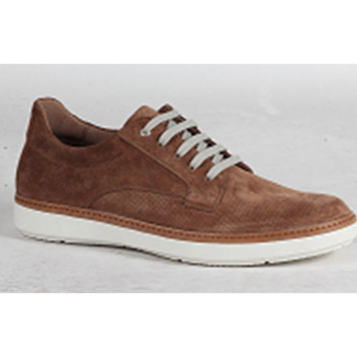 Sneakers Uomo Tata Italia Marrone