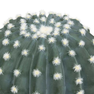 Planta cactus tayler 25cm