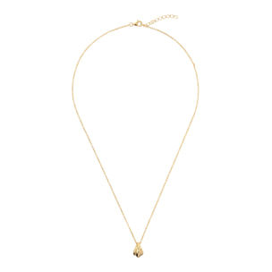 Collana Catena Rolo con Ciondolo Conchiglia