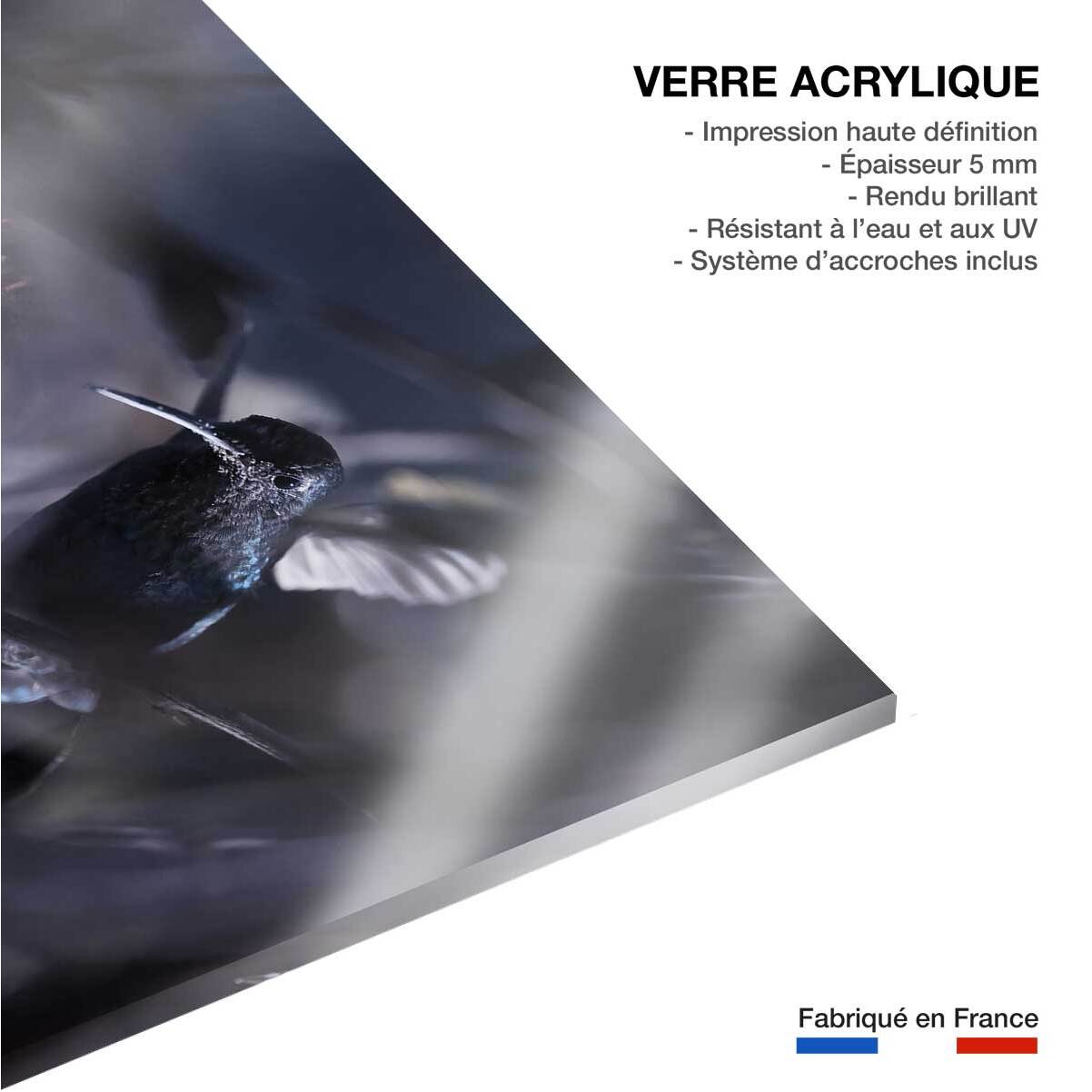 Tableau animaux - La petite étoile d' equateur Tableau plexiglas