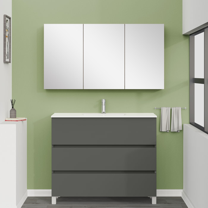 ARMOIRE DE TOILETTE, Alday, 120cm, Bois Nebraska