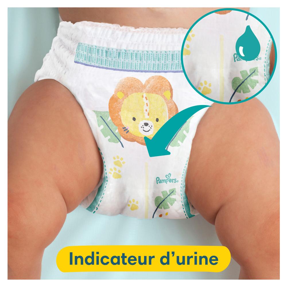 Pampers - 144 Couches-Culottes Pampers Premium Protection, Taille 5, 12-17  kg