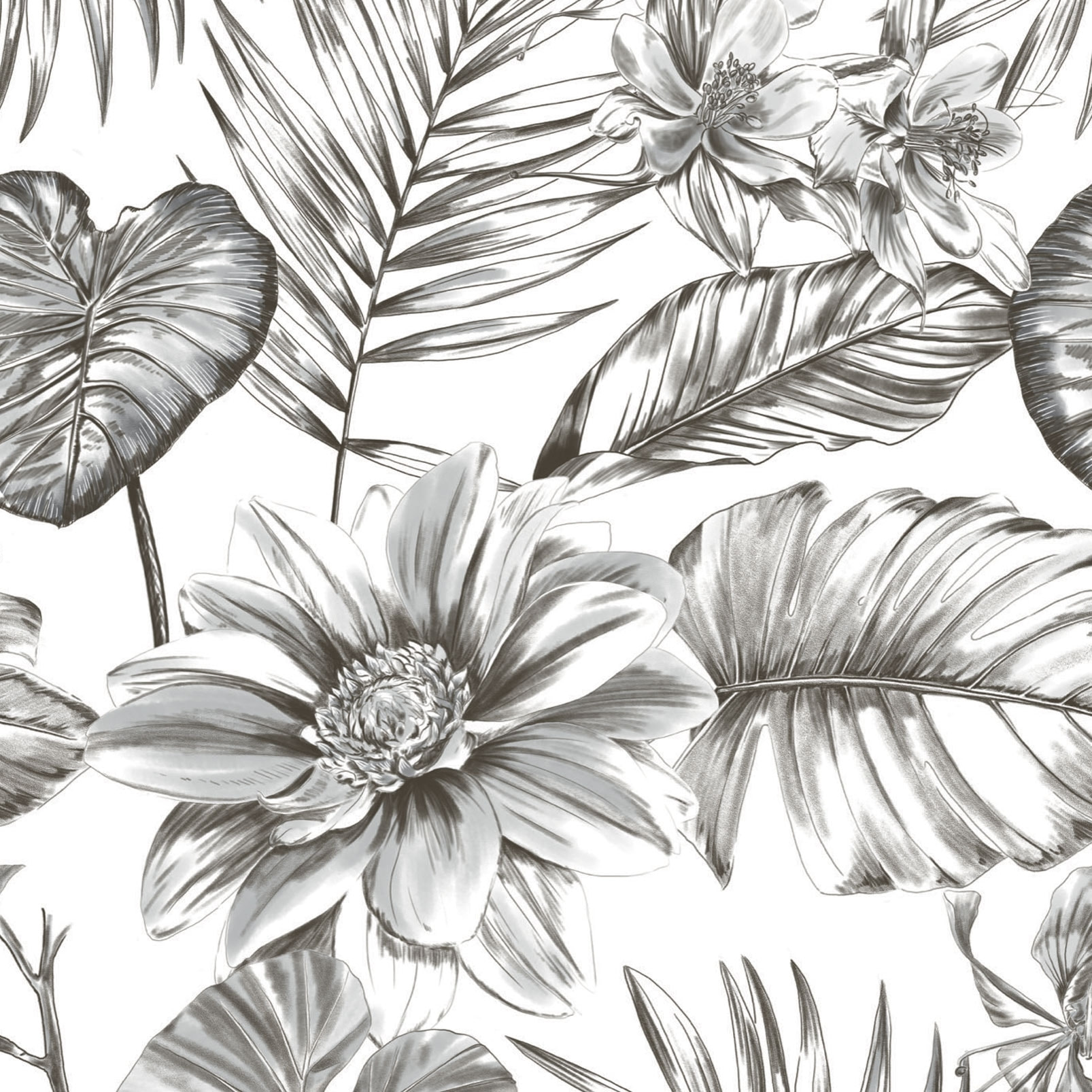 Papier peint magnolia jungle Noir et blanc