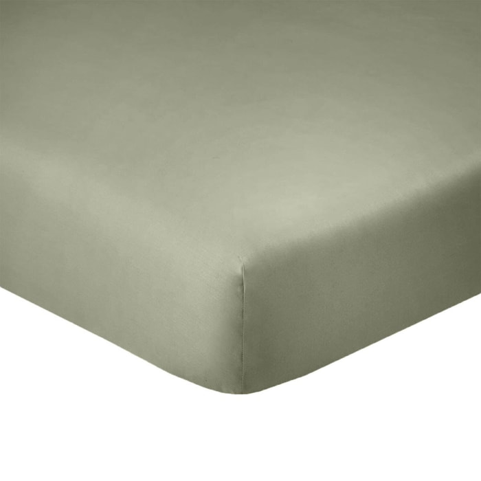Drap Housse- Bonnet 25cm 100% Coton 57fils/cm2 Verveine