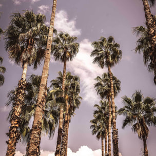 Affiche los angeles beverly hills Affiche + cadre en bois - Chêne