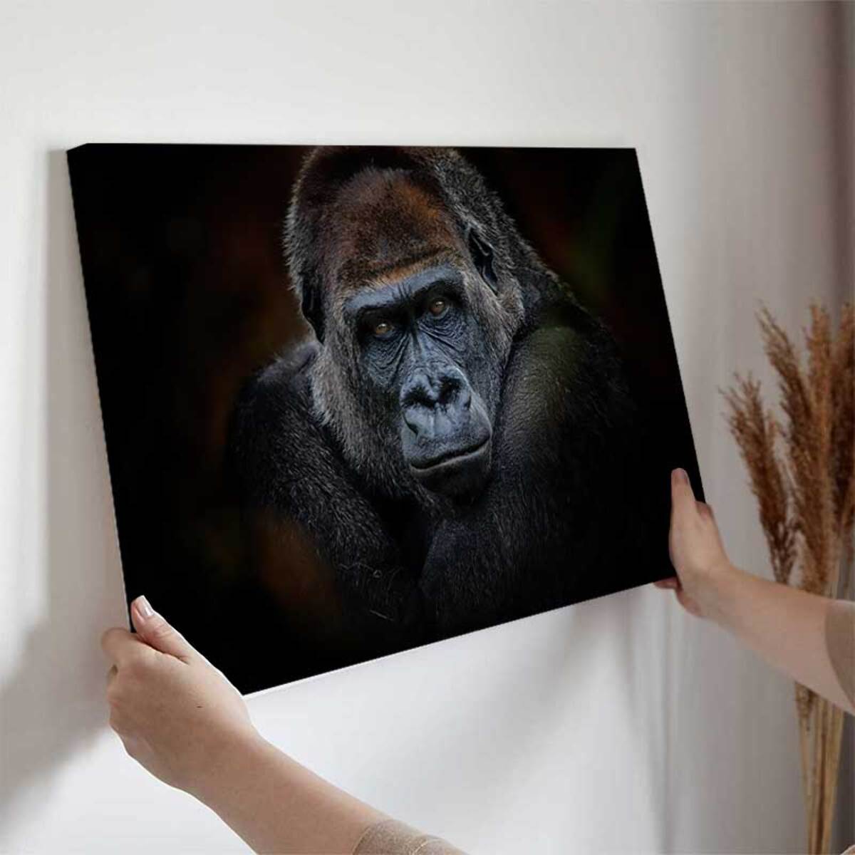 Tableau portrait gorille au regard intense fond sombre Toile imprimée