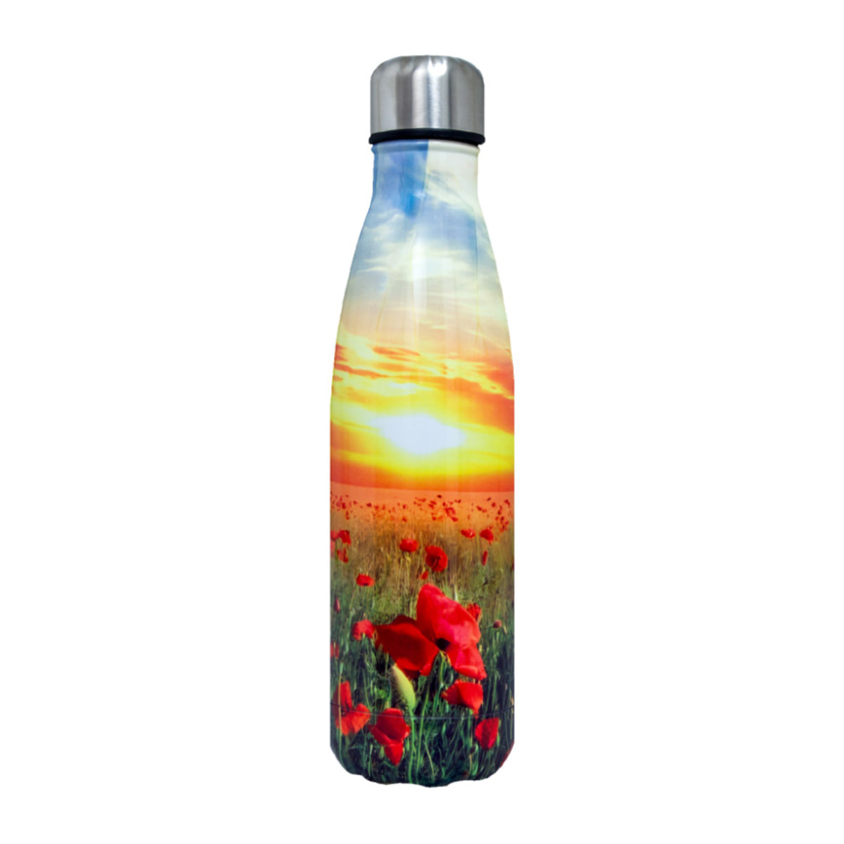 Borraccia Termica 500ml Bottiglia Thermos Modello Landscape