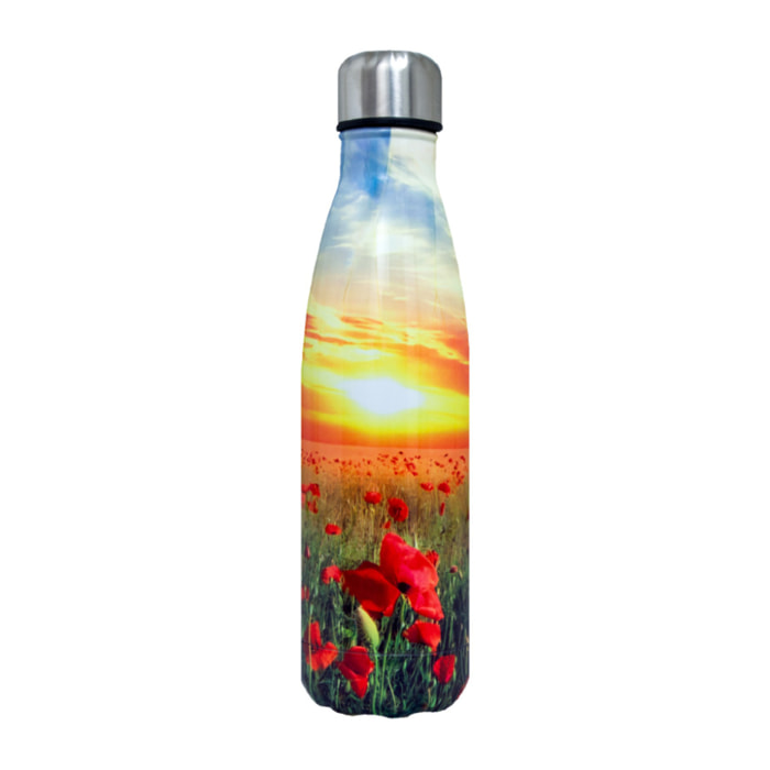 Borraccia Termica 500ml Bottiglia Thermos Modello Landscape