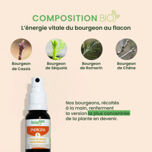 Herbalgem- EnerGem coup de boost - Bio - 15 ml