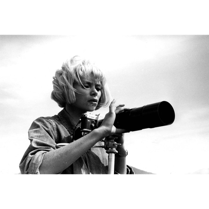 Tableau photo d'actrice de mireille darc en 1967  Toile imprimée