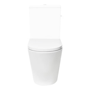 Project cuvette WC à poser sans bride en céramique (réservoir non fourni), blanc (SATPRO31M)