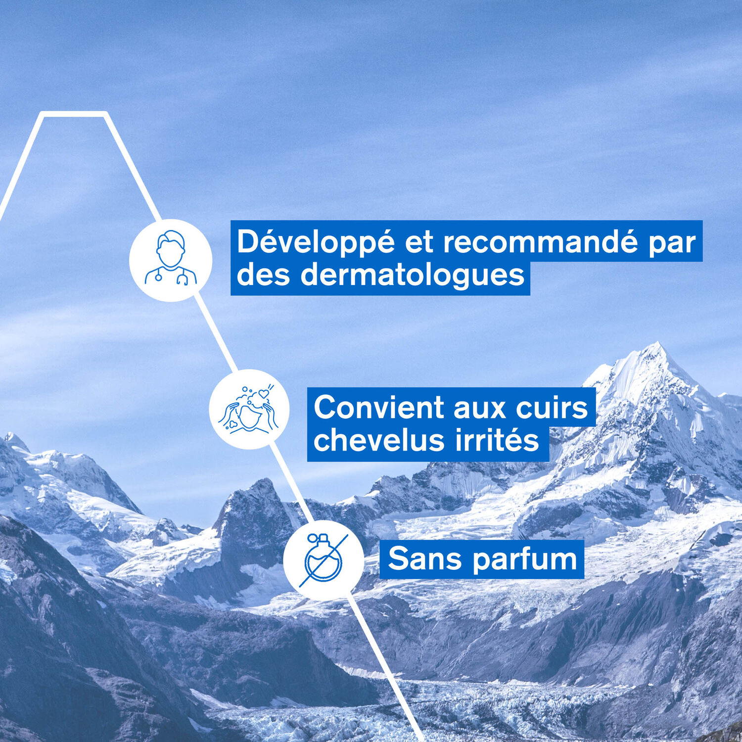 DS Hair - Lotion - Antipelliculaire Régulatrice 100 ml