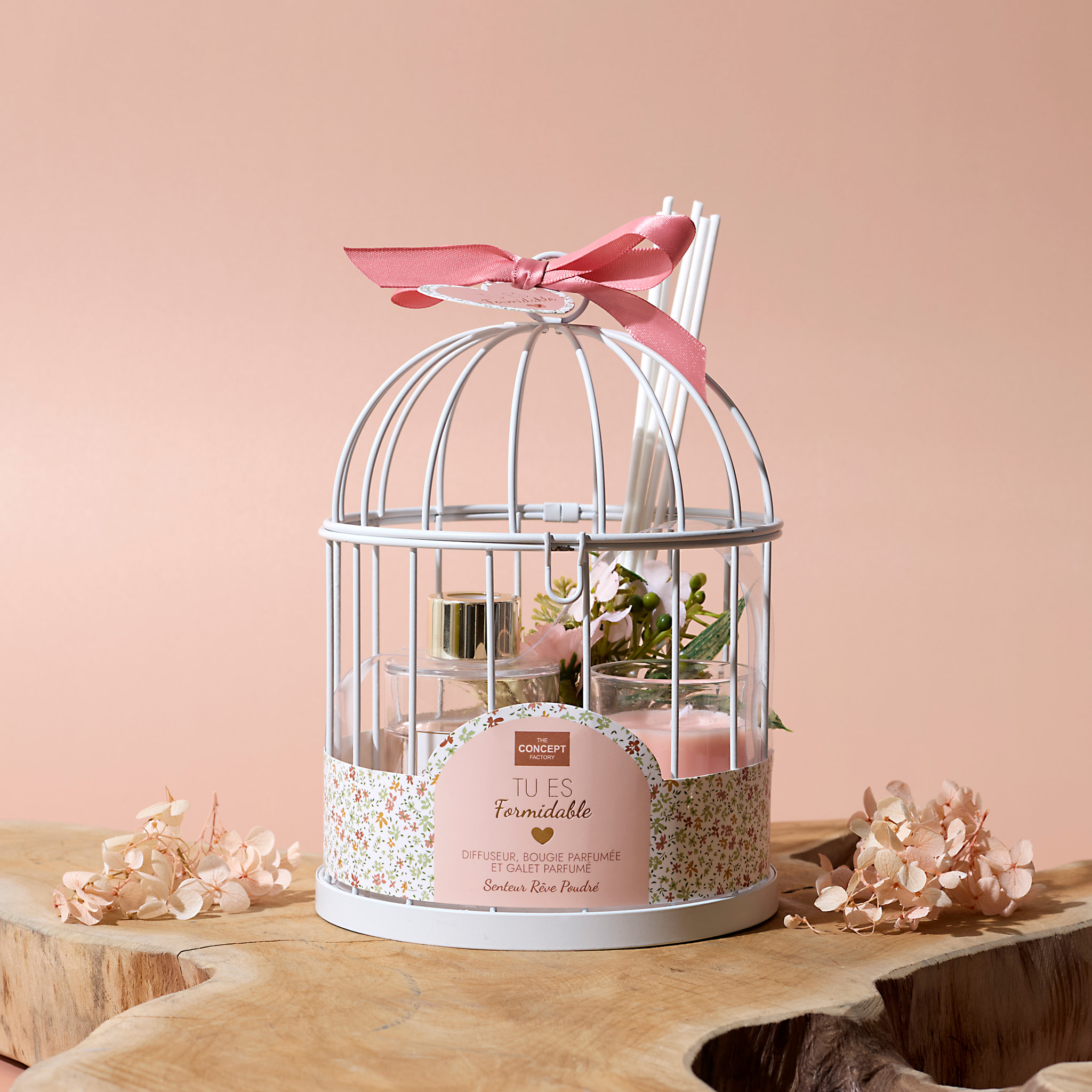 Coffret Senteur Cage Diffuseur Et Bougie