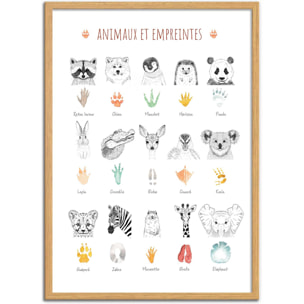 Affiche - Animaux et empreintes - Les loulous