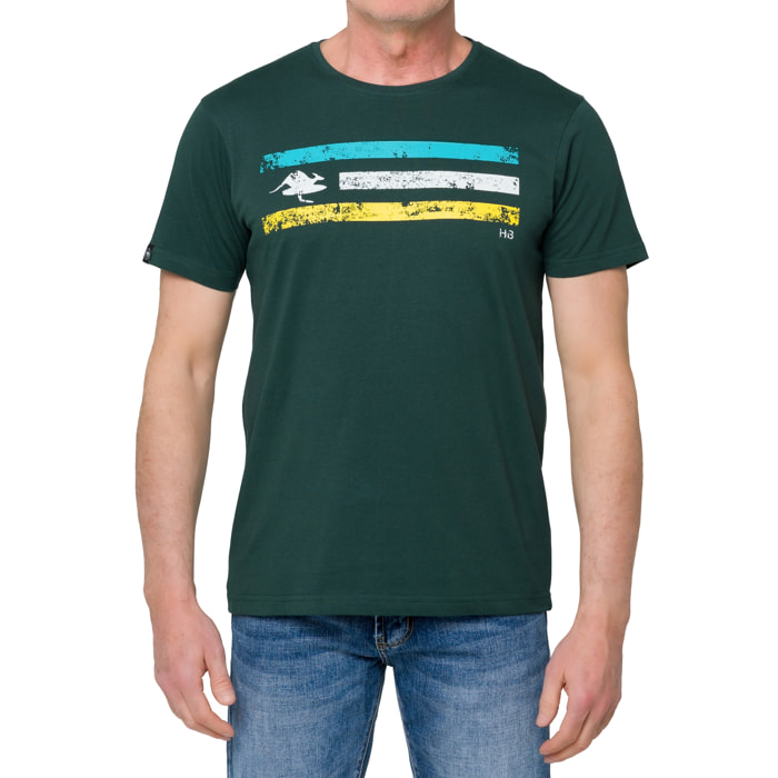 Camiseta CALIFORNIA 100% algodón Verde